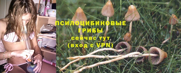 меф Няндома
