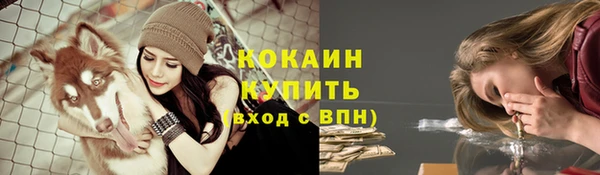 ПСИЛОЦИБИНОВЫЕ ГРИБЫ Апатиты