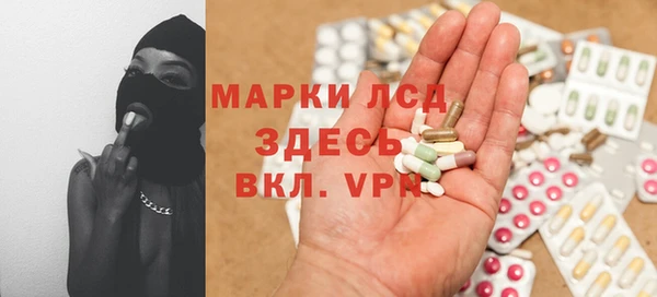ПСИЛОЦИБИНОВЫЕ ГРИБЫ Апатиты