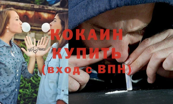 меф Няндома