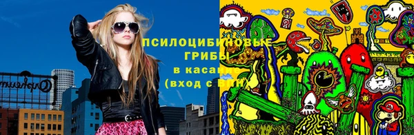 меф Няндома