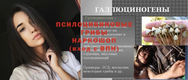 ECSTASY Анива