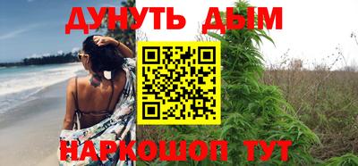 шишки Бийск