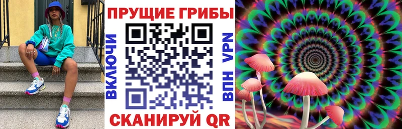 Псилоцибиновые грибы прущие грибы  Грозный 
