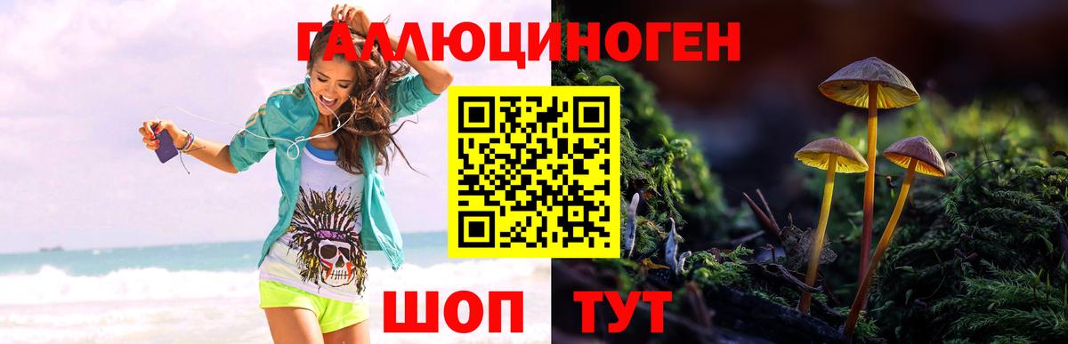 Псилоцибиновые грибы Cubensis  Грозный 