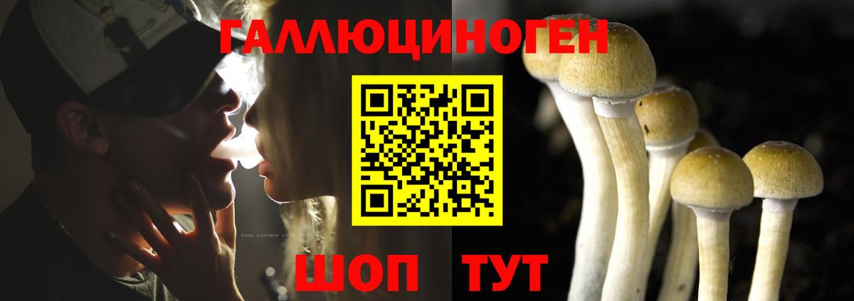 Грозный  Галлюциногенные грибы Cubensis  Галлюциногенные грибы прущие грибы  Вход с VPN 